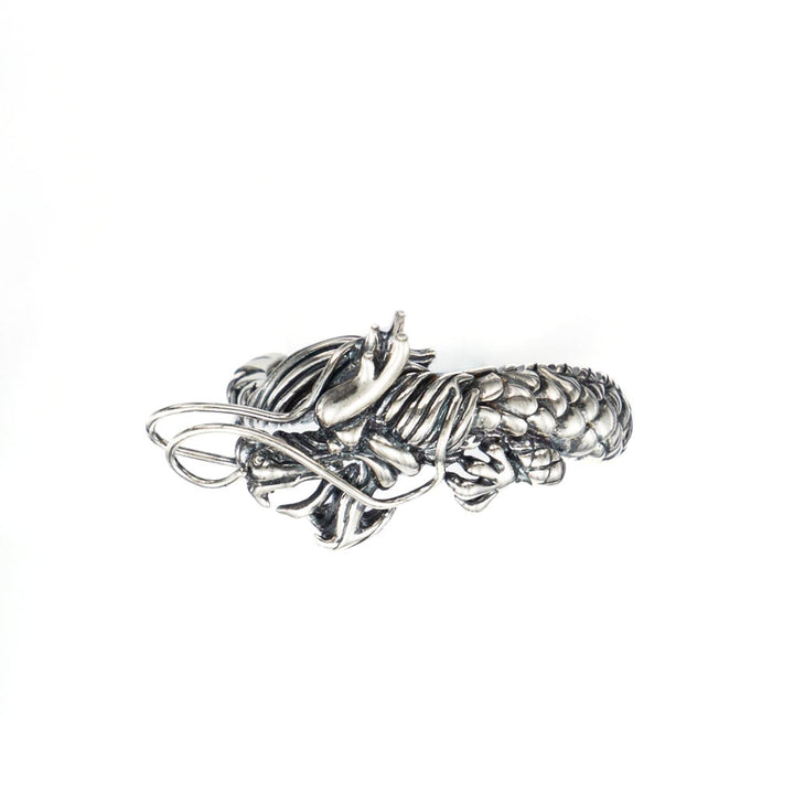 The Qi of the Dragon sliver ring-Silver-ring-Shesamore jewelry -Dragon ring